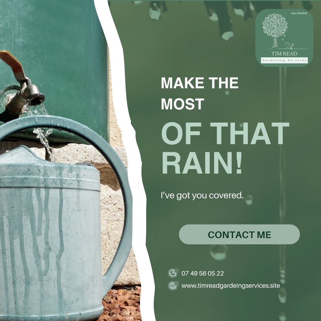 Catching Rain – Saving Water for a Drier Summer