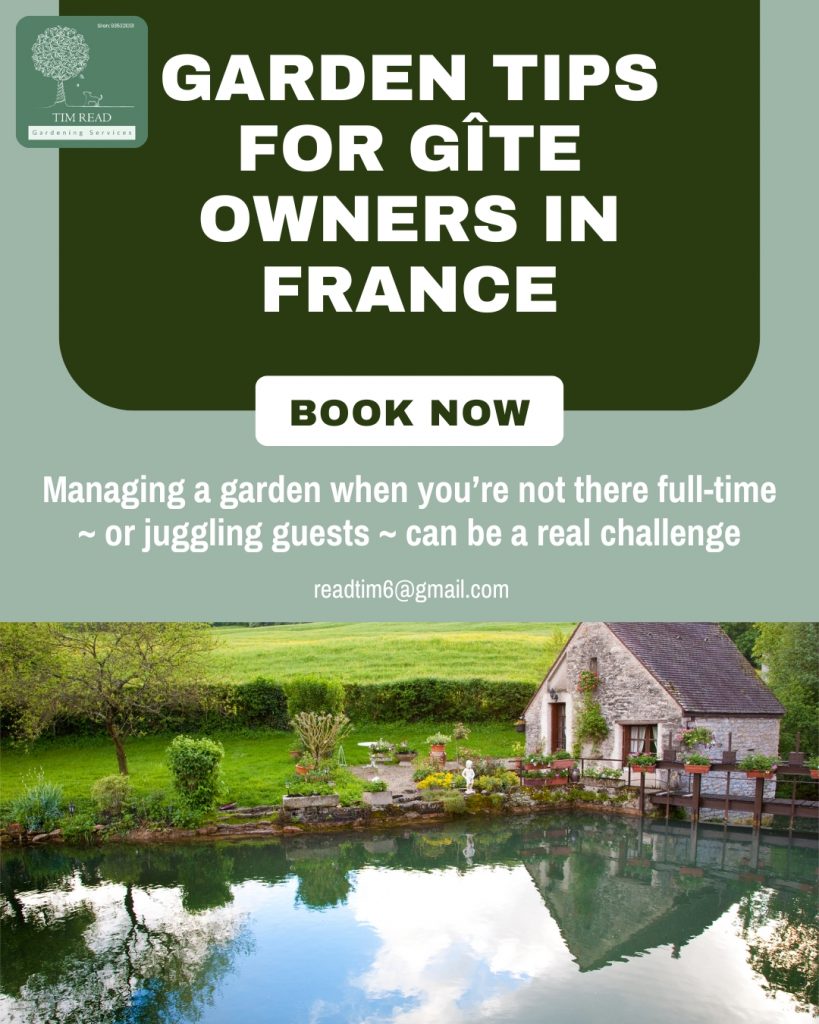 gîte owners gardening tips